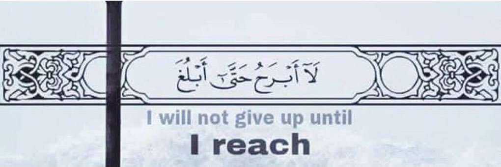 أنس عبده banner