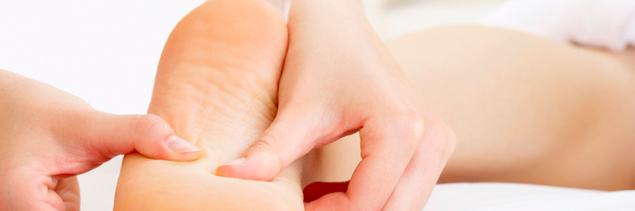 HumanBodyWorks's profile banner image