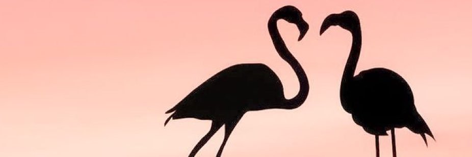KimikiTaa_19's profile banner image