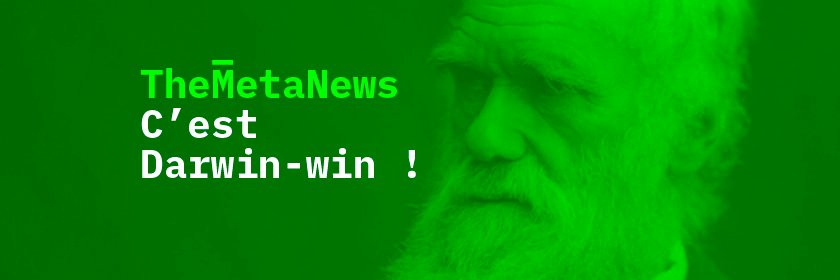 Laurent Simon TheMetaNews banner