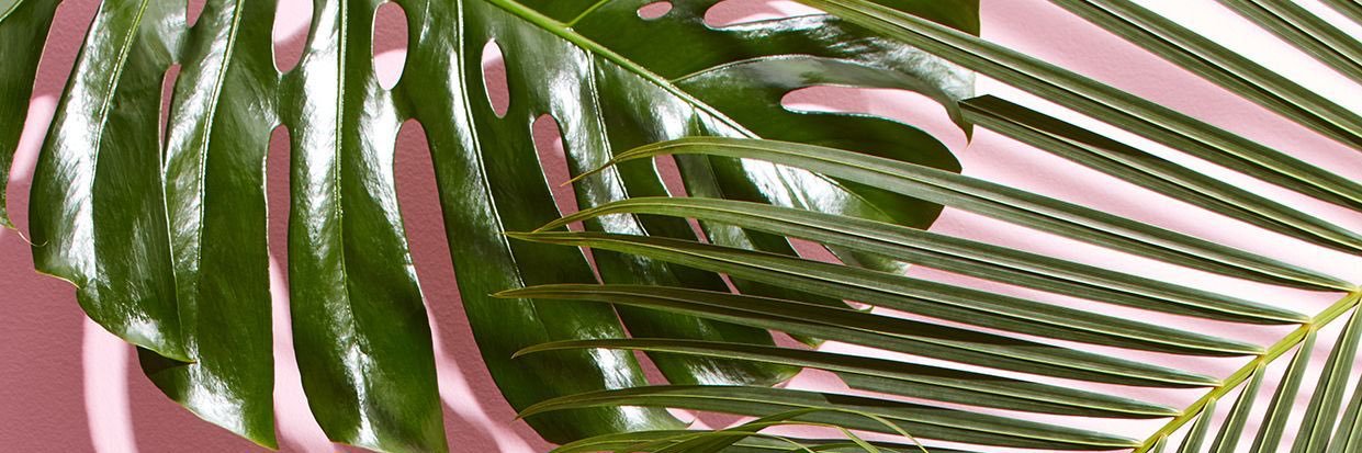 _abbrella's profile banner image