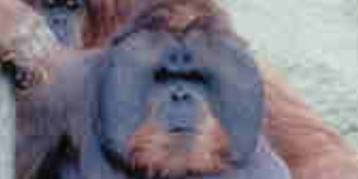 Dawg banner