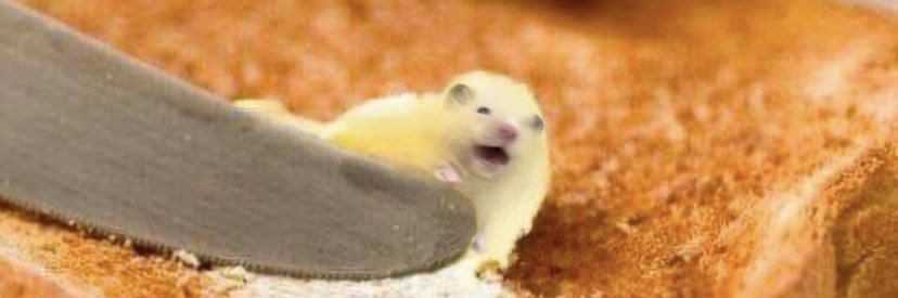 Spontanemoose's profile banner image