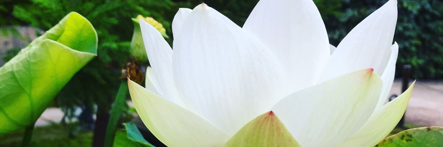7rie6's profile banner image