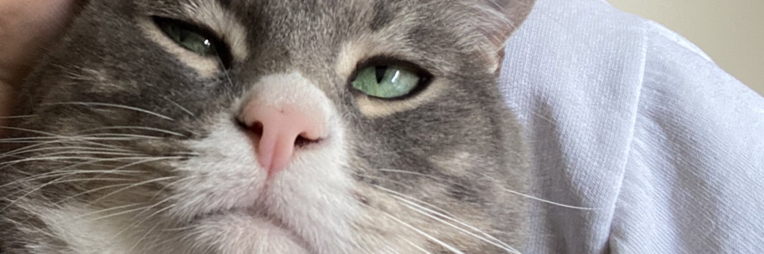 alemolinasty's profile banner image