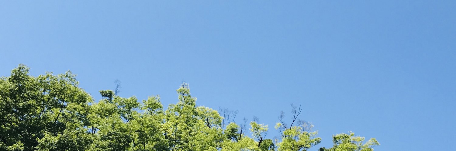 tnora_2012's profile banner image
