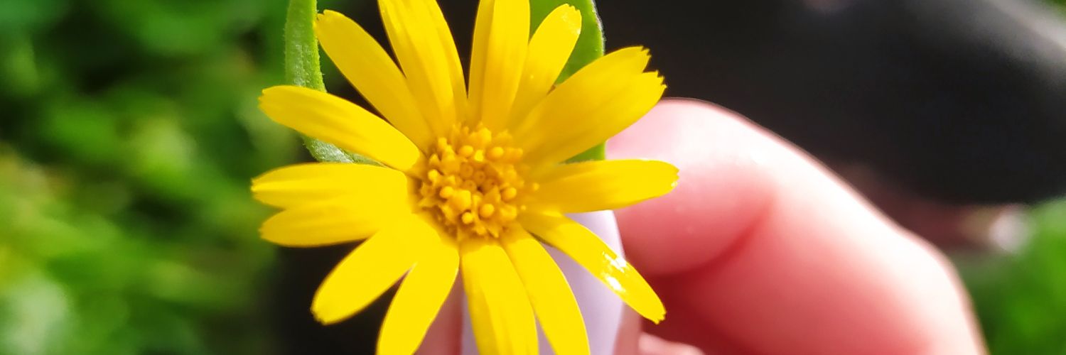 Mariancittaaa's profile banner image