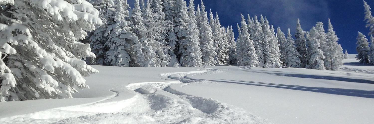 Rodrigo Coelho banner