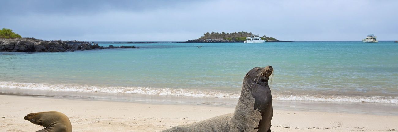 KaLó. #PeroNoTanto 💃🎸👽 banner