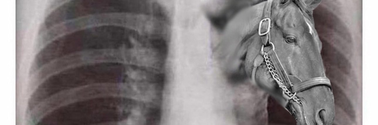 s3eed751's profile banner image
