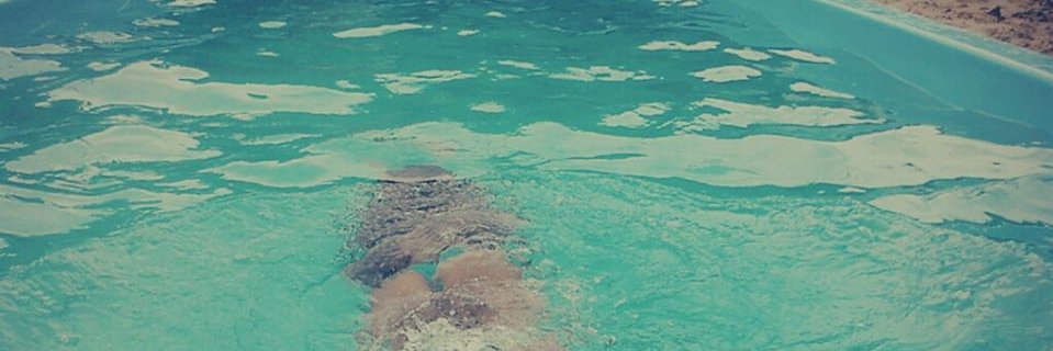_leelan's profile banner image