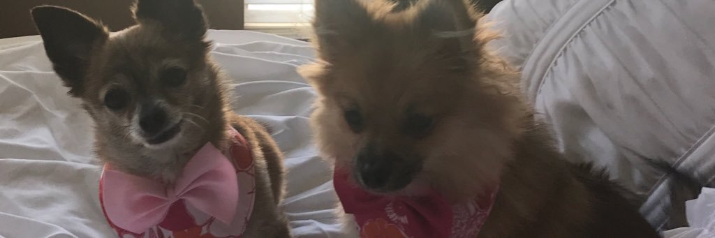 heathersdabomb's profile banner image