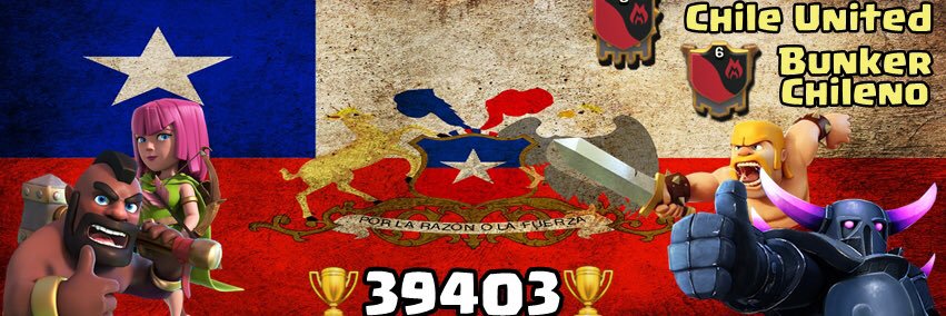 chile united banner