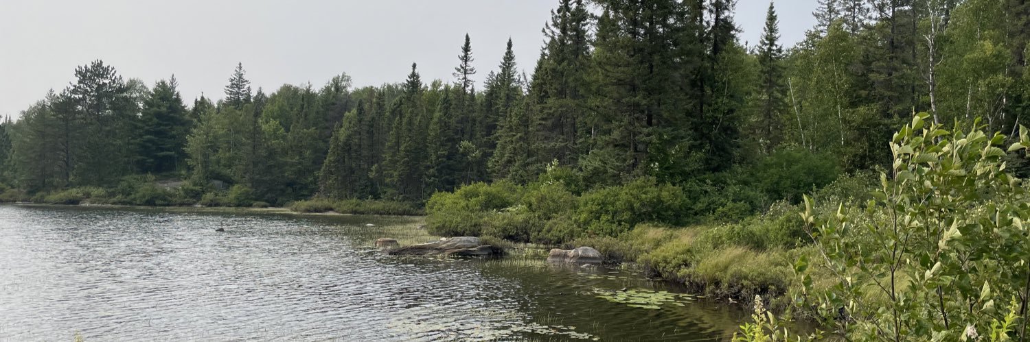 Dr. Robyn K. Rowe banner