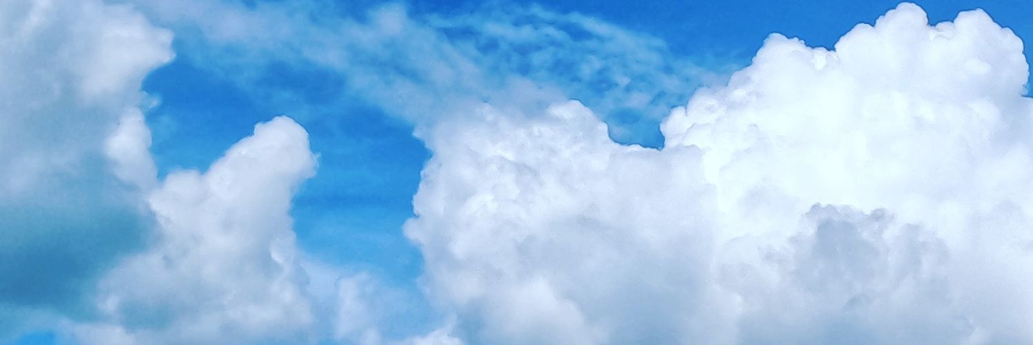 apple_nrvr's profile banner image