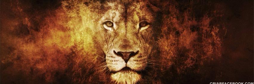 Ofi_Marcosouza's profile banner image