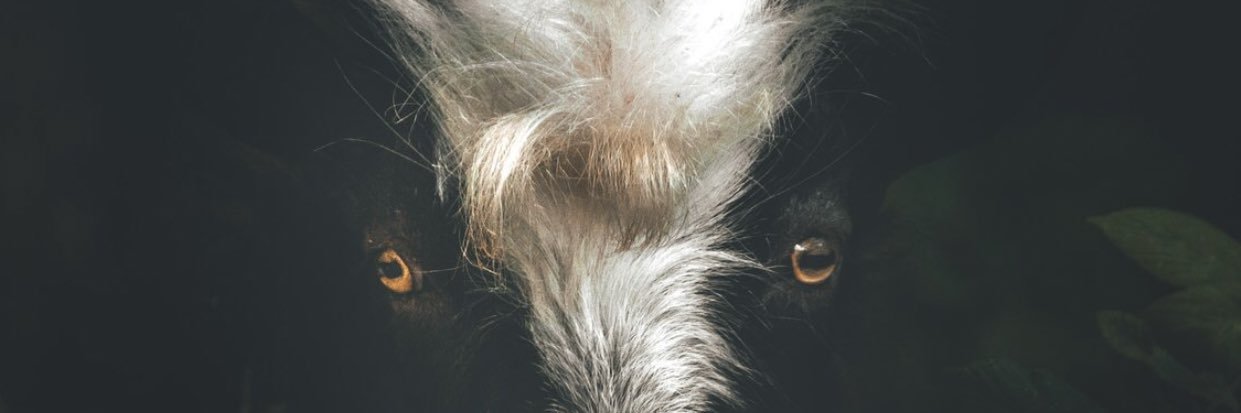 CSolo_4's profile banner image
