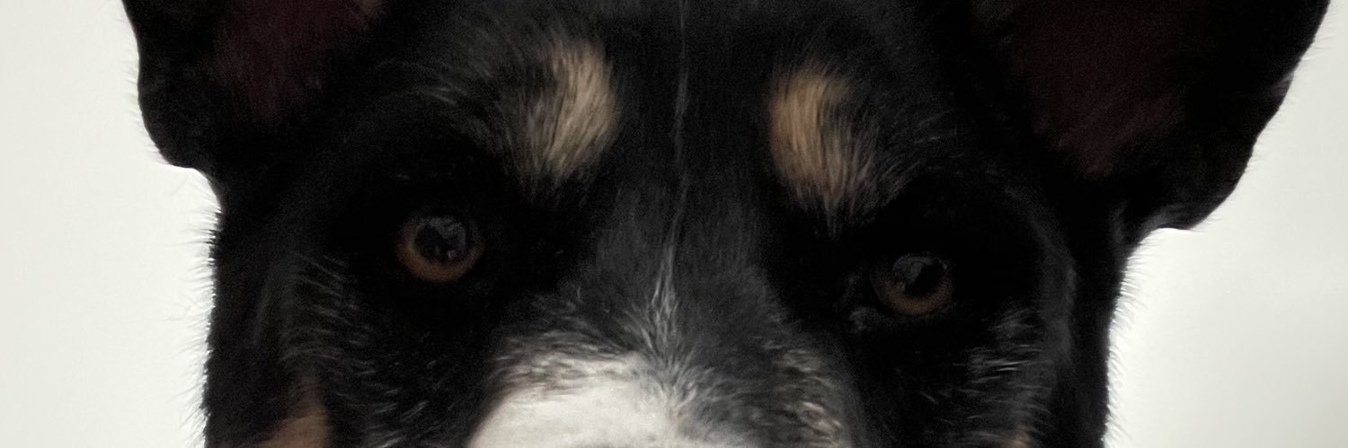 EthamSnith's profile banner image
