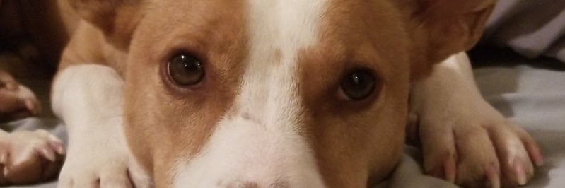 JosephWayneTine's profile banner image
