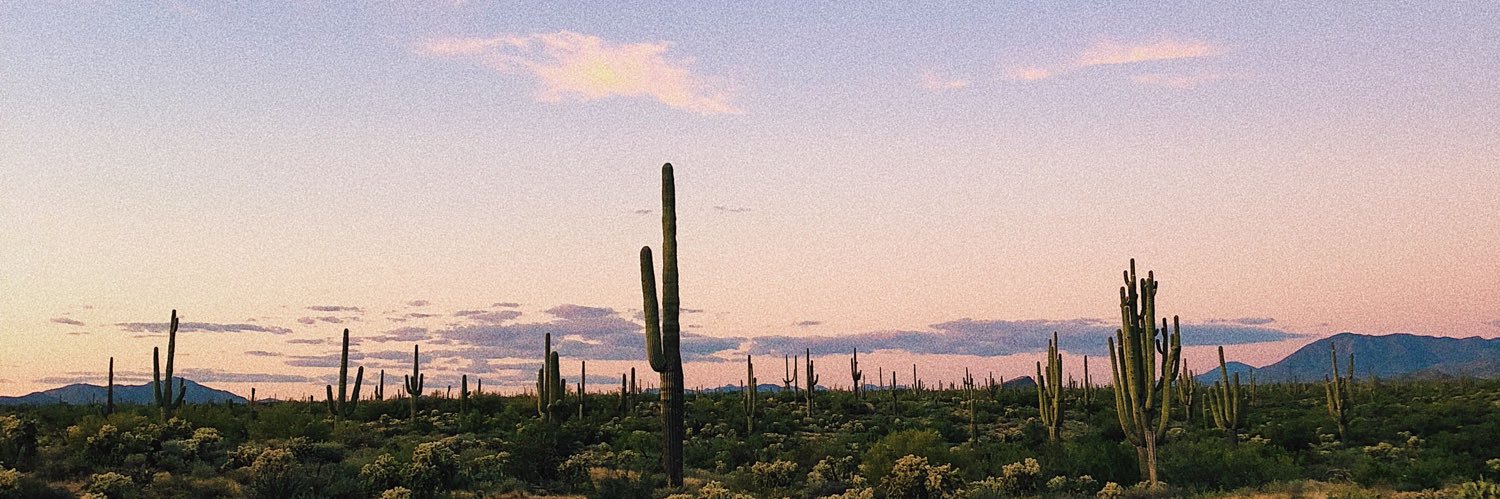 HAYLEYLONG🥭 banner