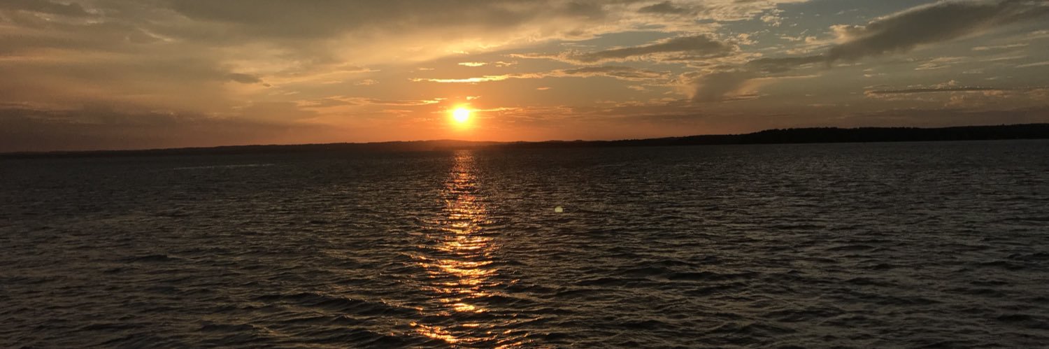 Bitchondo's profile banner image
