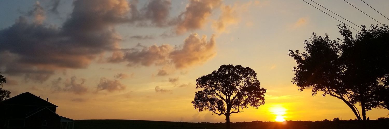 jessibugg9's profile banner image