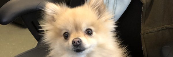 cosgriff Profile Banner