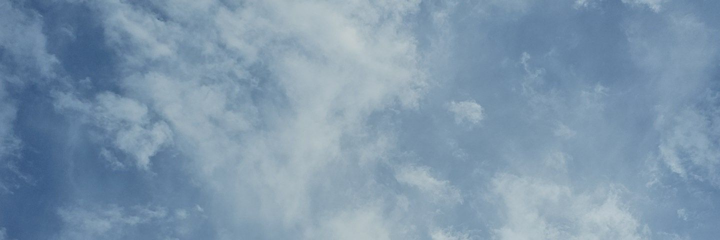 malaynes's profile banner image