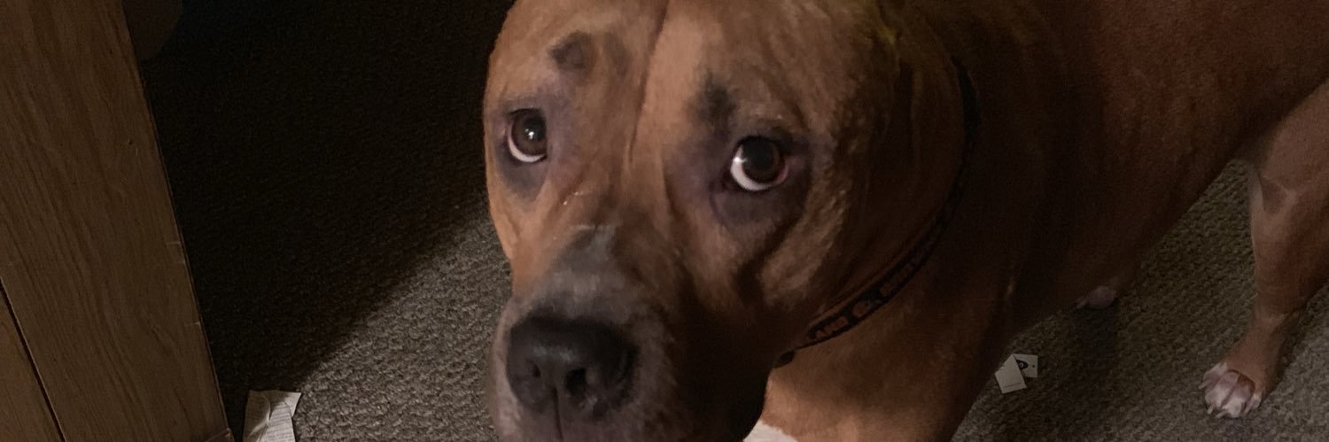 T_Schweitz's profile banner image
