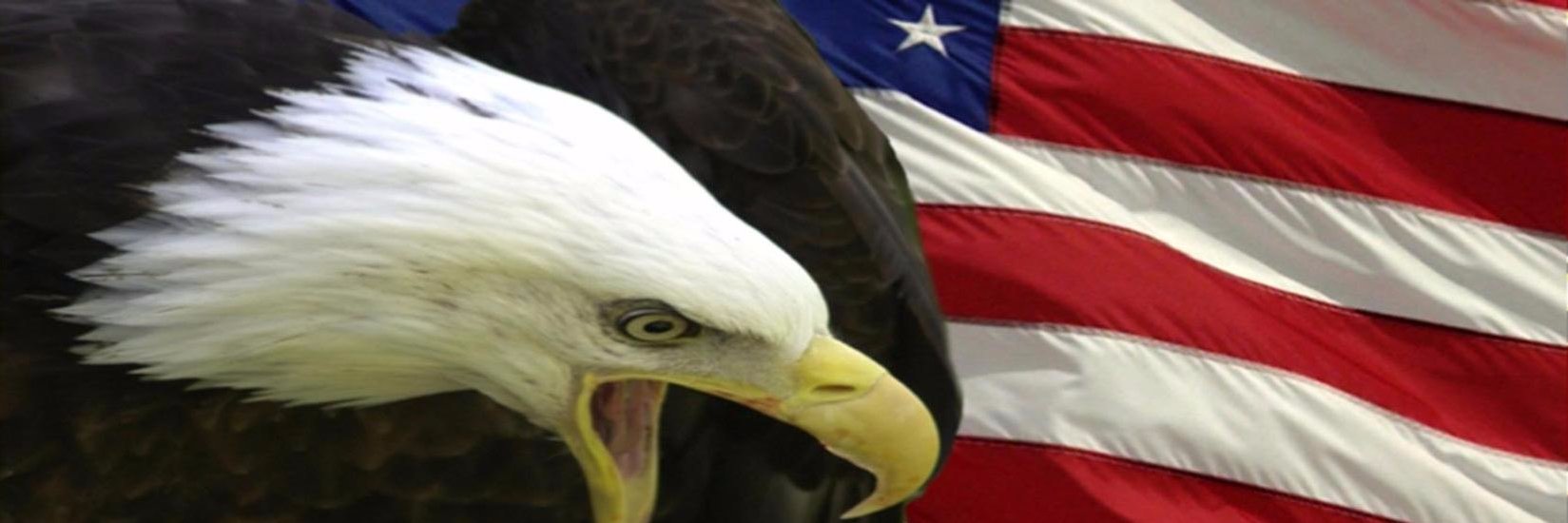 theccclark's profile banner image