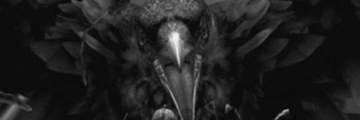 donta_imme's profile banner image