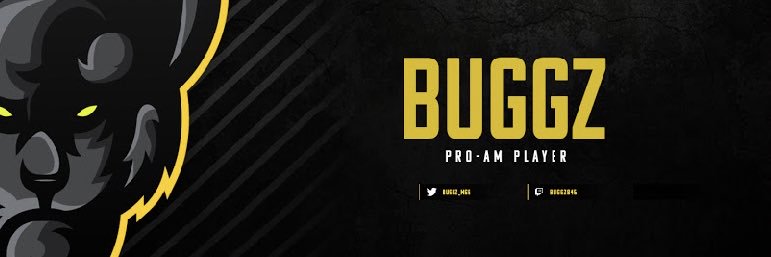 Buggz ll banner