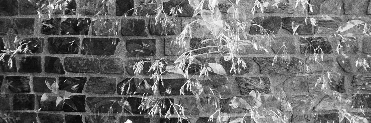 sharedscene's profile banner image