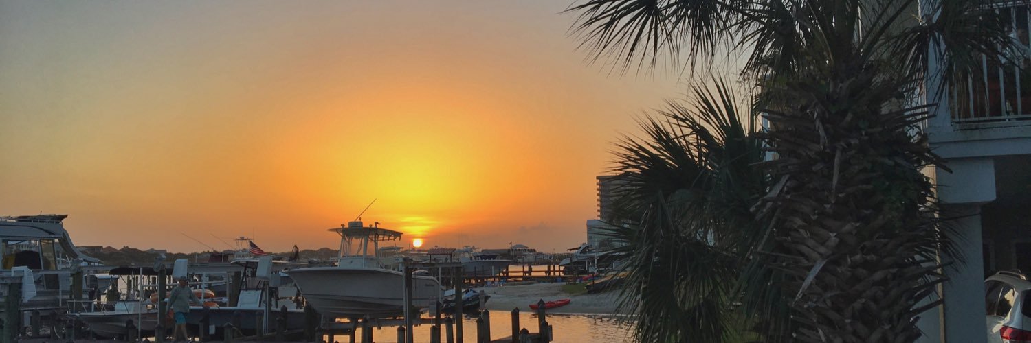 Madison Hardwick banner