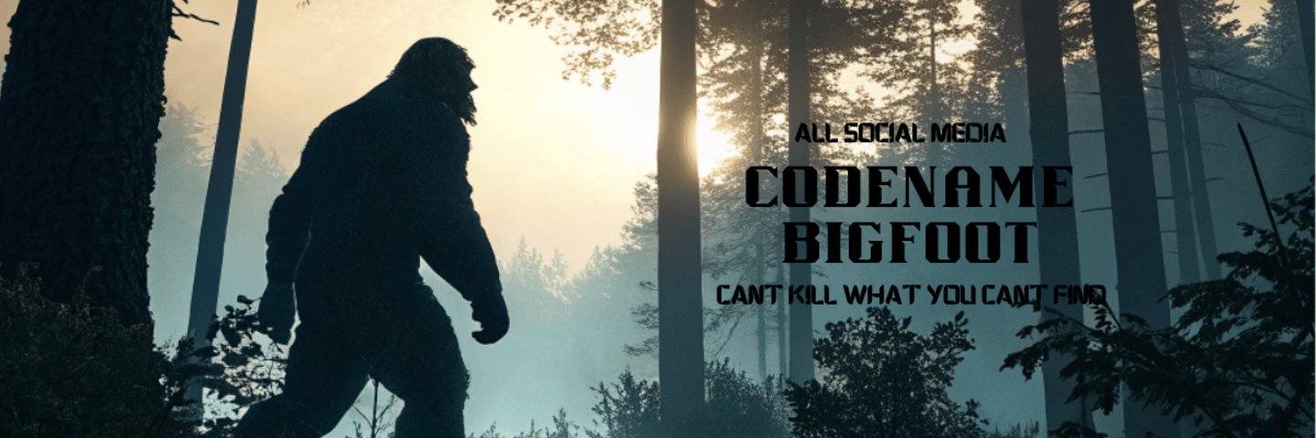 CodenameBigfoot's profile banner image