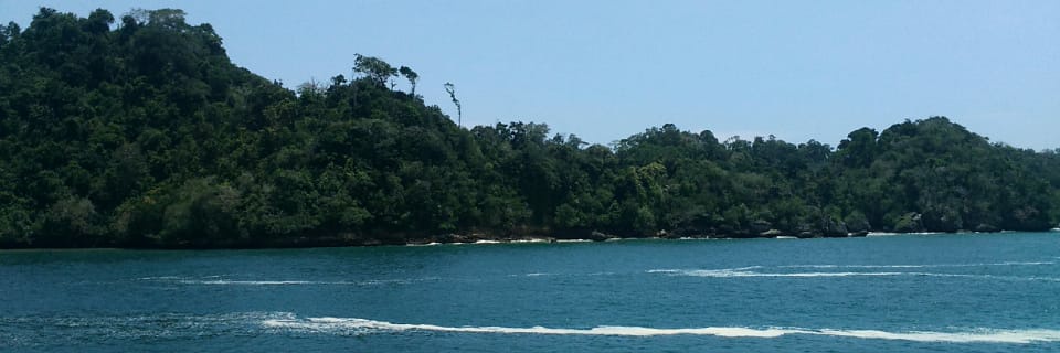 rrrraru's profile banner image