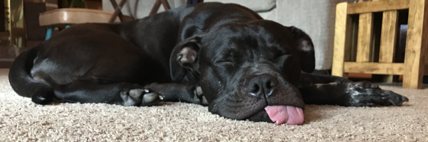 María Larrazábal banner