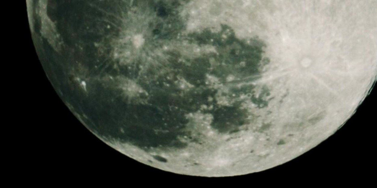 ozoxavi16's profile banner image