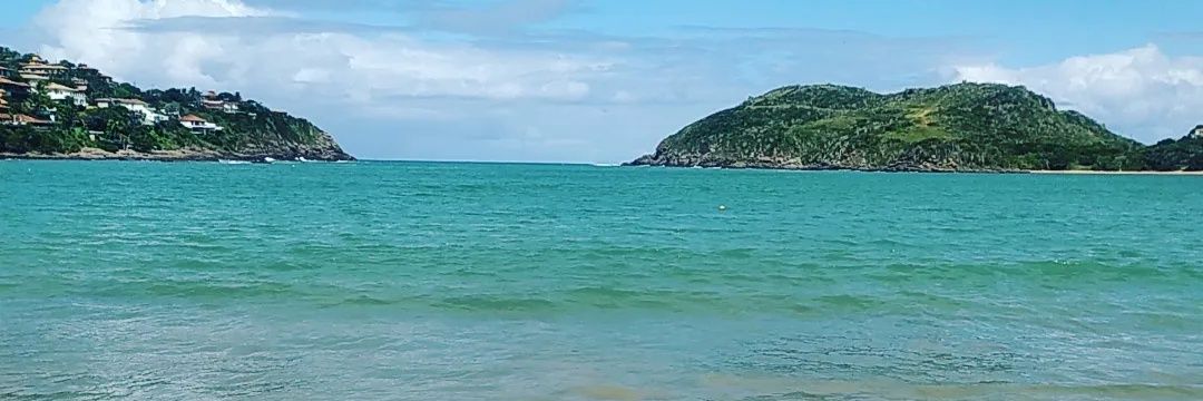 roxcastillo39's profile banner image