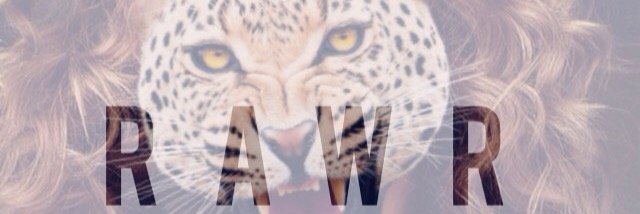Sumiii_xo's profile banner image