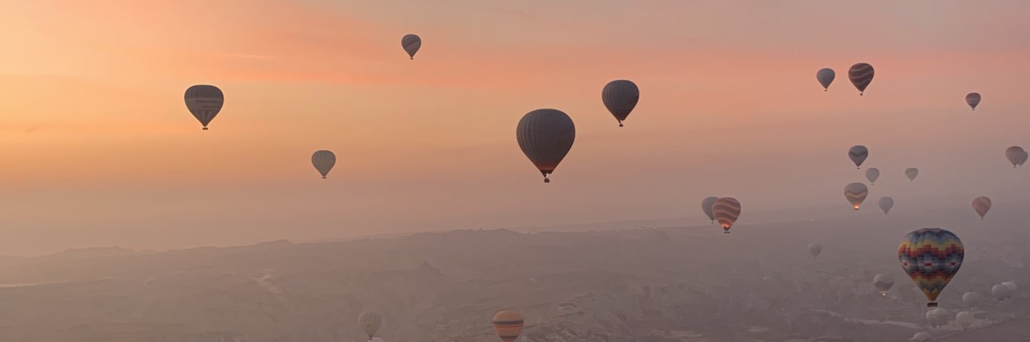 dinardama's profile banner image