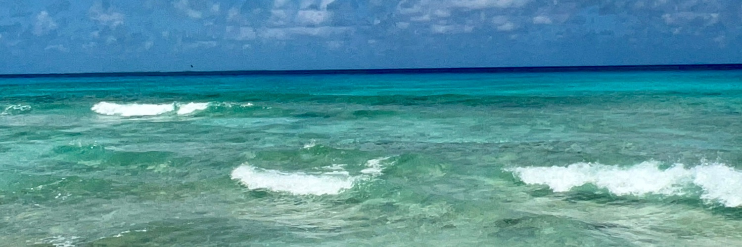 PerfectxPisces's profile banner image
