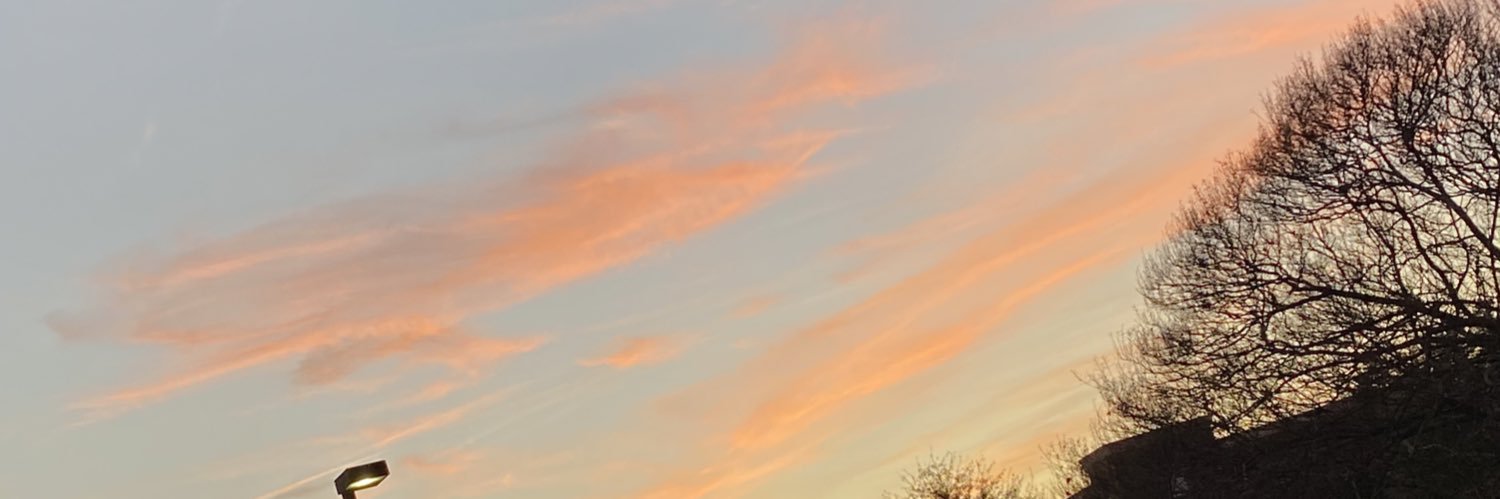 pudding__cups's profile banner image