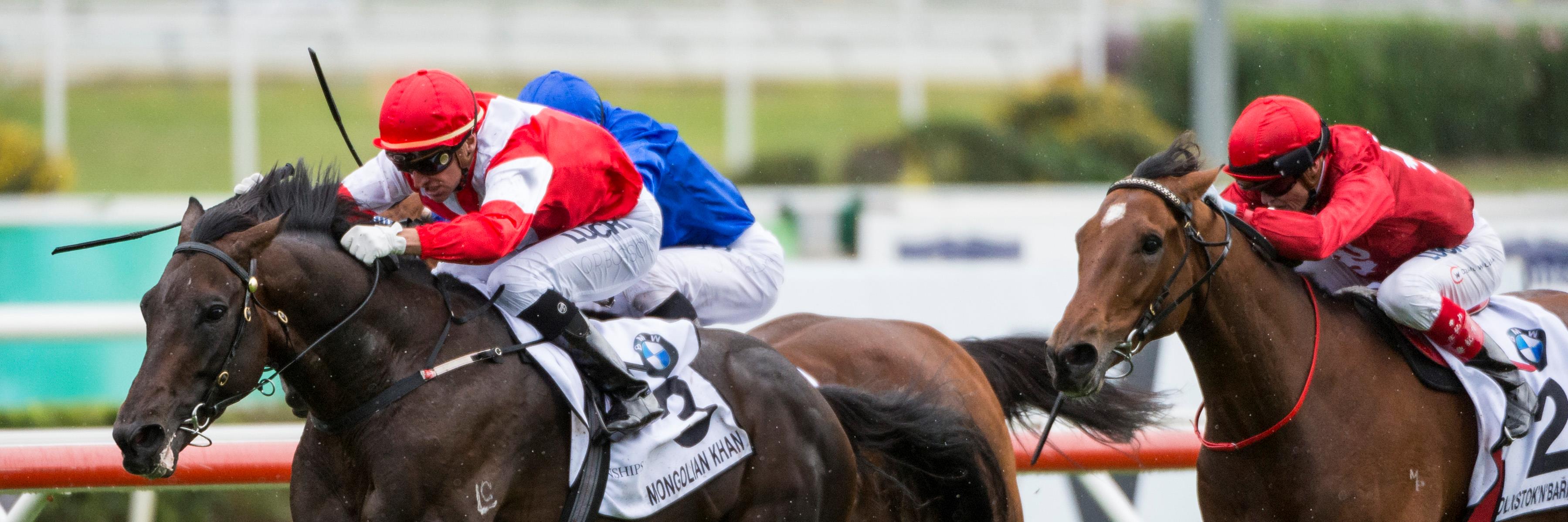 Racing Network banner