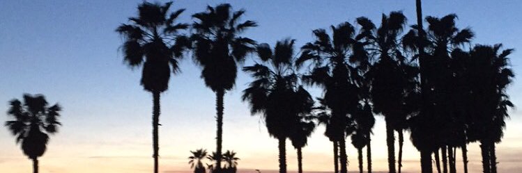 trudlaff45's profile banner image