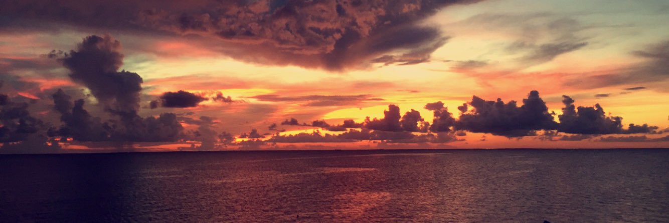 _LP2's profile banner image