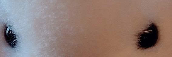 hidamari_sora's profile banner image