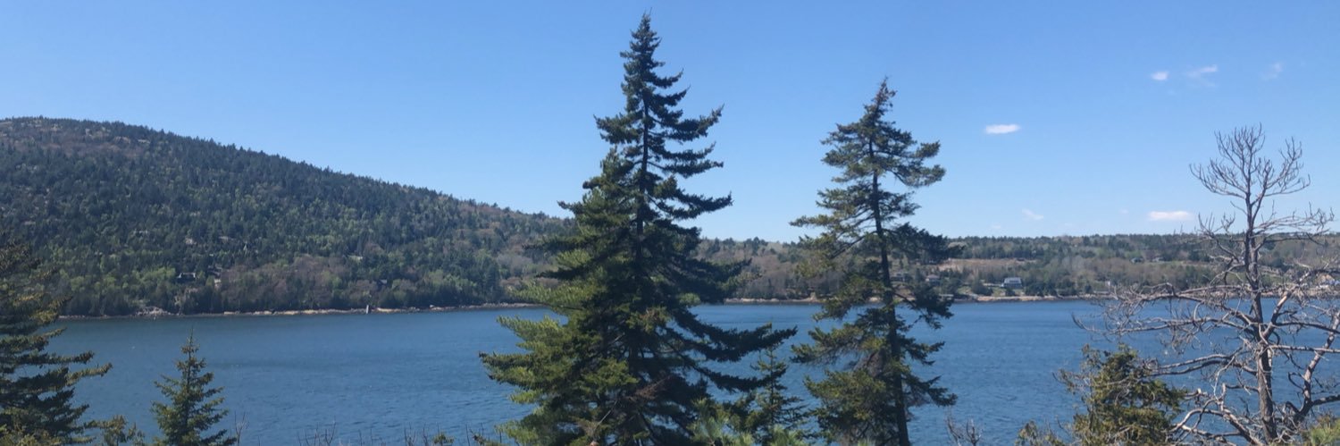 allijohnnn's profile banner image