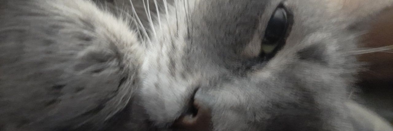 jacrabbitz's profile banner image