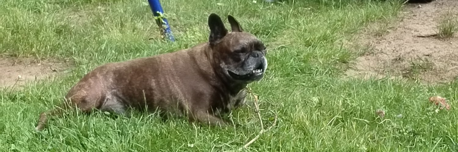 ShreddingRuen banner